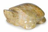 Carved Fossil Yellow Star Coral Turtle - Philippines #322343-1